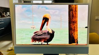 IMac 24 chip M1 nuevo