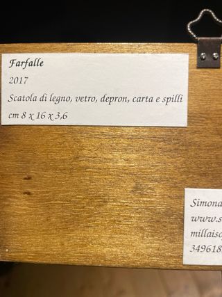 Scatola Farfalle da Collezione