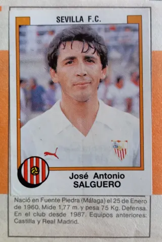 SEVILLA FC CROMOS RECORTADOS PANINI