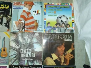 Lote di 19 Vinili LP