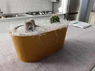 Vaso giallo con cactus