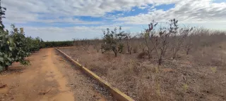 OPORTUNIDAD en Alginet pegado a carretera y a7