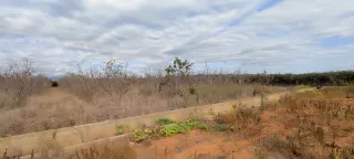OPORTUNIDAD en Alginet pegado a carretera y a7