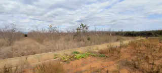 OPORTUNIDAD en Alginet pegado a carretera y a7
