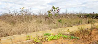 OPORTUNIDAD en Alginet pegado a carretera y a7
