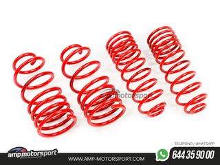 MUELLES DEPORTIVOS MTS TECHNIK MTSXCI004