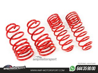 MUELLES DEPORTIVOS MTS TECHNIK MTSXAL081