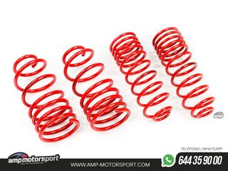 MUELLES DEPORTIVOS MTS TECHNIK MTSXMM027