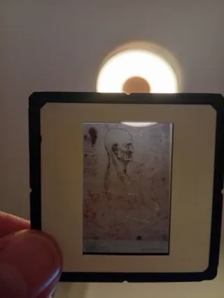 Diapositivas antiguas de anatomía