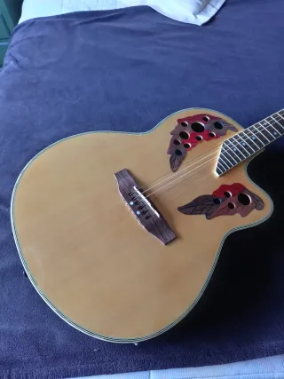 Guitarra Electro-Acústica sin uso con su funda