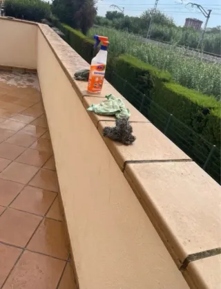 Servicio de limpieza