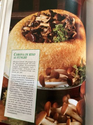 Il grande libro della cucina a microonde