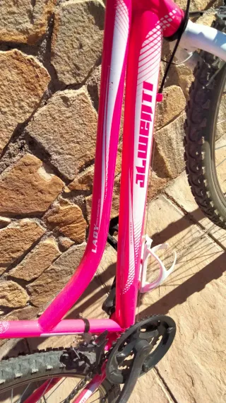 Bicicleta infantil rosa