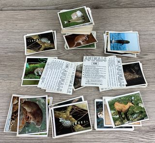 Lotto figurine Panini anni 90 Animals of the W