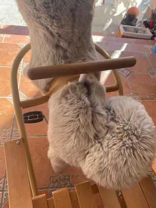 Triciclo madera para niños