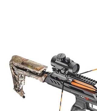 Articolo per Francesco