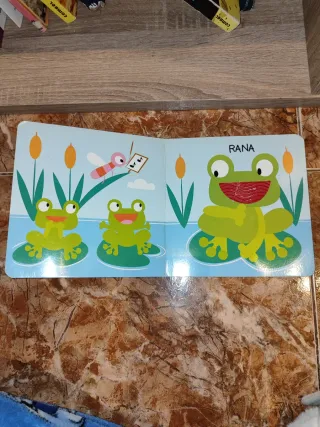 El oso: y sus amigos