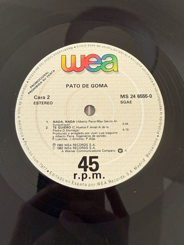 Vinilo Pato de Goma - Chicos Malos