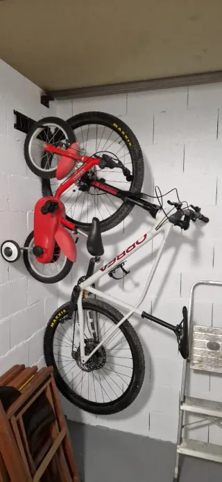 Bicicleta Orbea Alma MTB 29