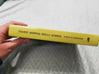 Diario agenda vintage originale 1981 Sarah kay