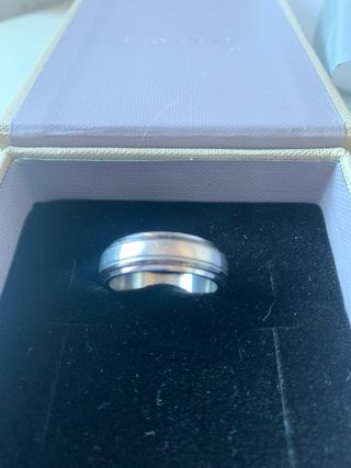 Alianza Viceroy Inox Hombre