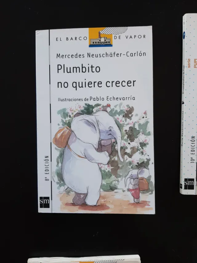 Lote 6 libros infantiles del Barco de vapor blanco