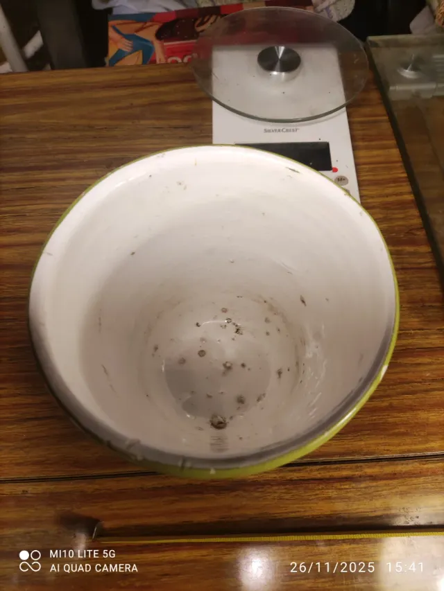 Basija de porcelana pintada a mano