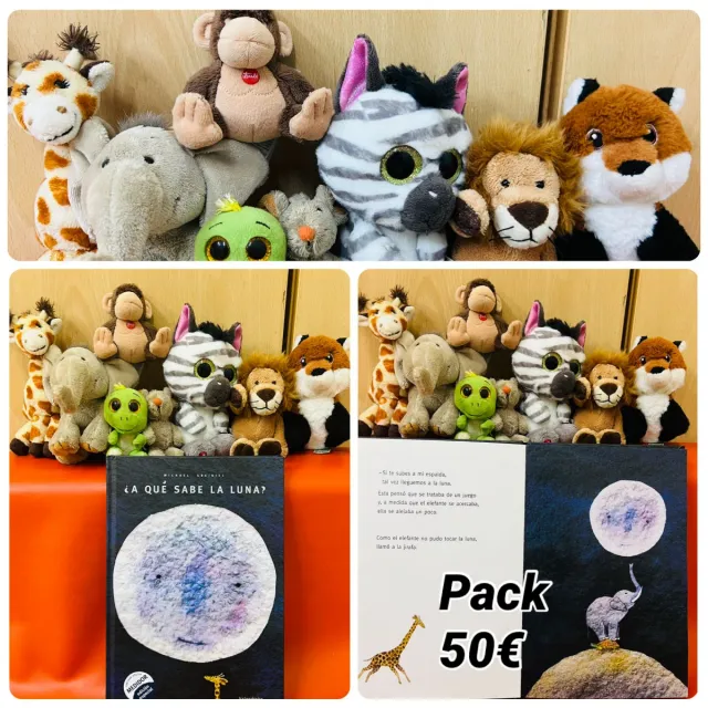 Lote Libros Infantiles y Peluches
