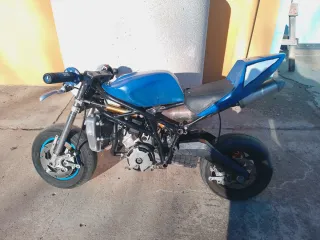 Minimoto Polini GP3 14 CV.