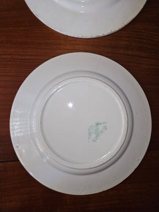 Coppia piatti Mondovì rari