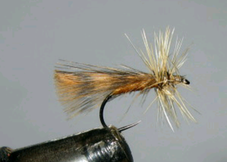 MOSCAS PARA LA PESCA DE TRUCHAS