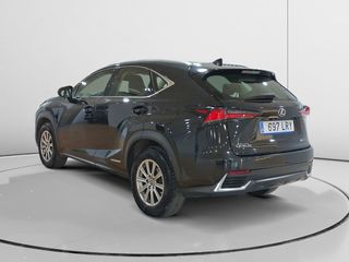 Lexus NX 300 h Business