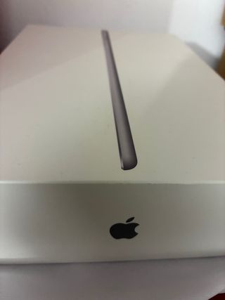 iPad 6ª Gen Plata