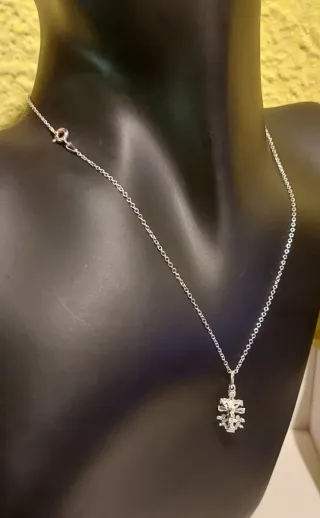 Cruz de Plata de Ley