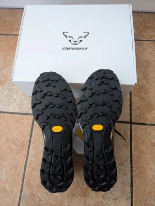 Zapatillas Dynafit Alpine DNA