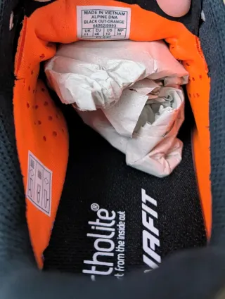 Zapatillas Dynafit Alpine DNA