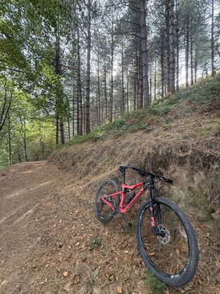 Orbea Oiz 2022 Montaña Talla M