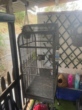 Jaula para petauros del azúcar