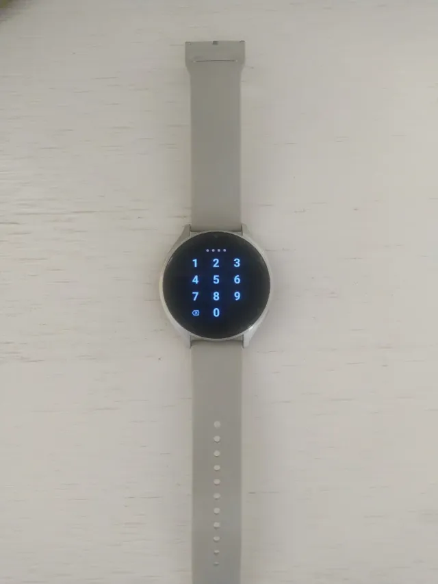Reloj Xiaomi Gris y Plateado