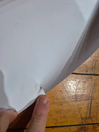 Póster Película Pobres Criaturas