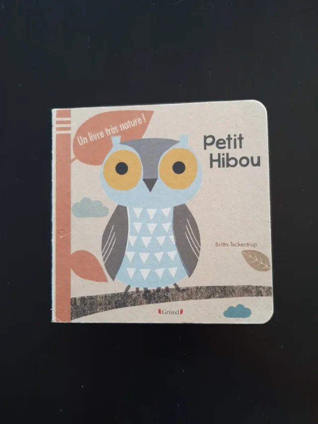 Lote 7 libros infantiles en francés