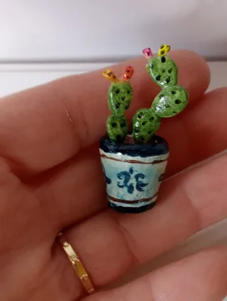 Piantina Fico d'India Fatta a Mano