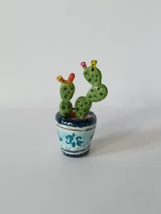 Piantina Fico d'India Fatta a Mano