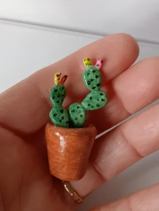 Piantina Fico d'India Fatta a Mano