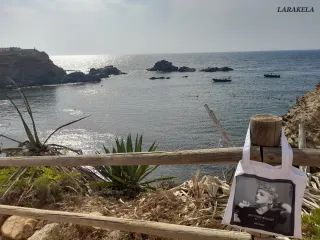 MADONNA PATTI SMITH SAN FRANCISCO ASÍS SNOOPY bags