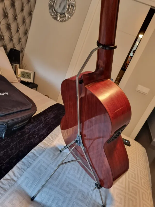 Chitarra Prudencio Saez Amplificata