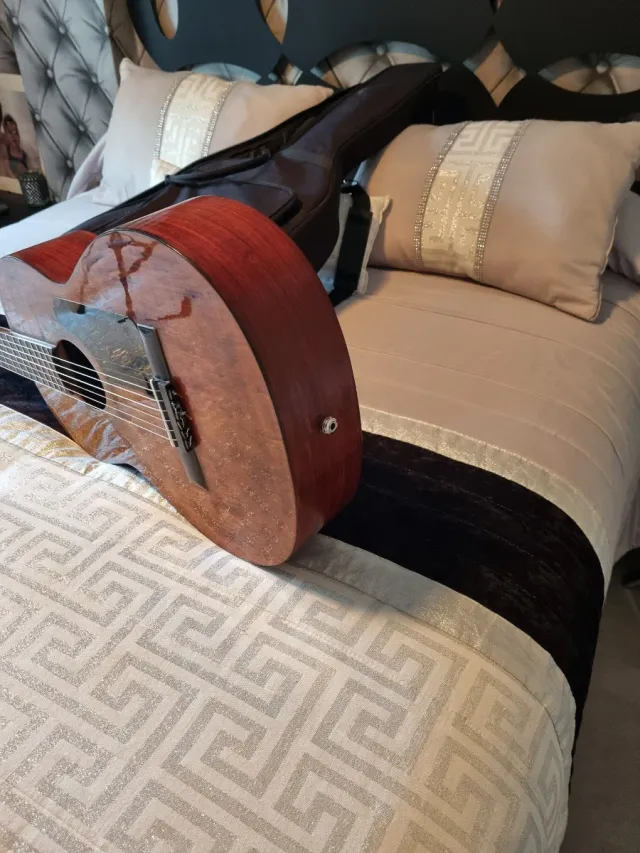 Chitarra Prudencio Saez Amplificata