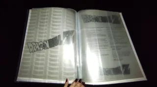 Álbum Cromos Dragon Ball Z Vacío - Serie 2 Plata