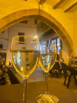 pareja busca piso tenemos un perro pequeño