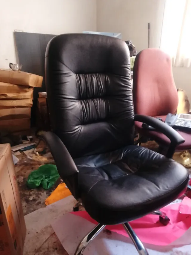 ARTÍCULO RECOMENDADO PARA USO EN ÉPOCA DE CARNAVAL